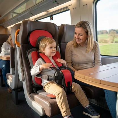 Lavirac™ Foldable Toddler Travel Harness & Booster Cushion